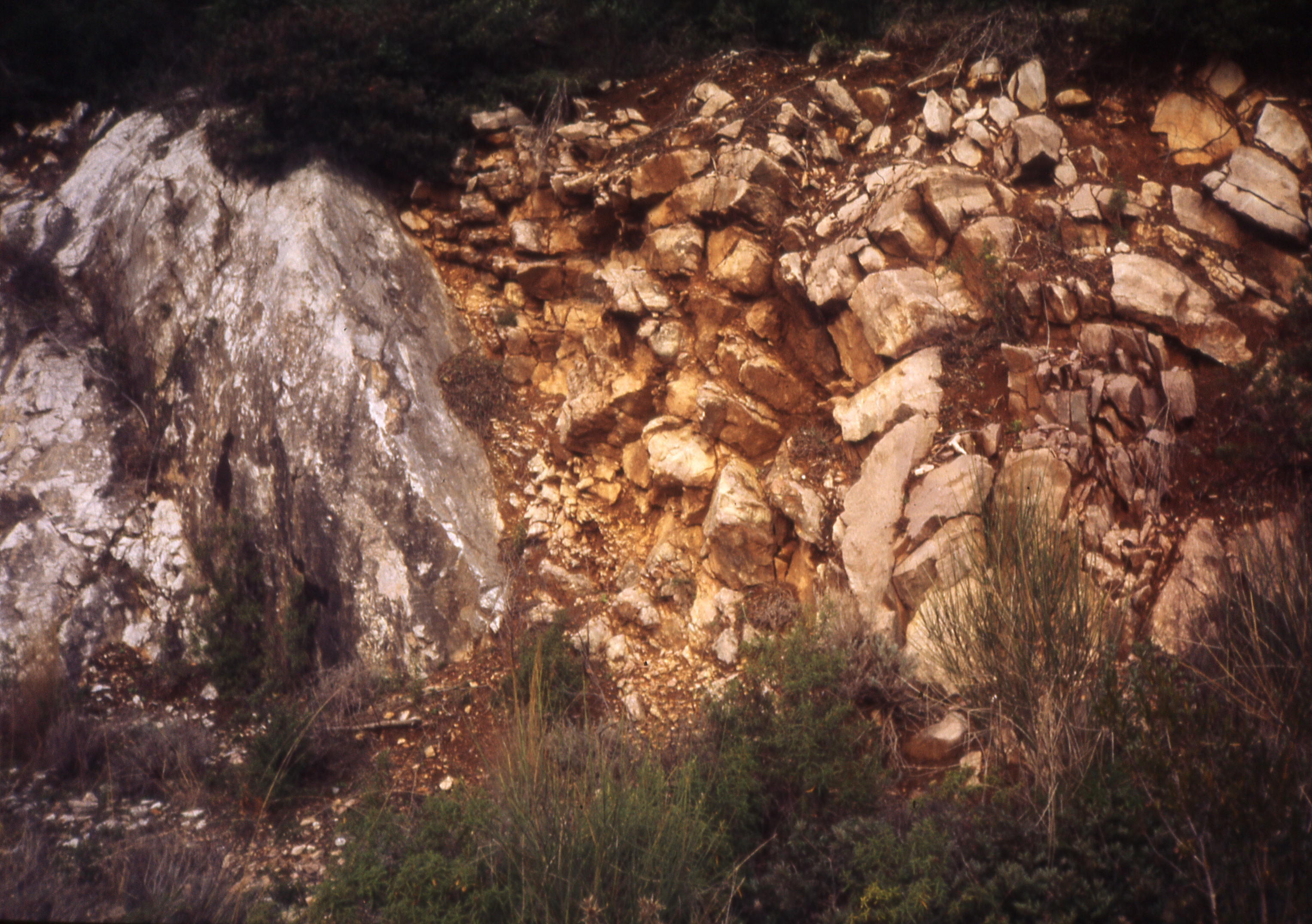 faglia massiccio ammonitico Campiglia M.